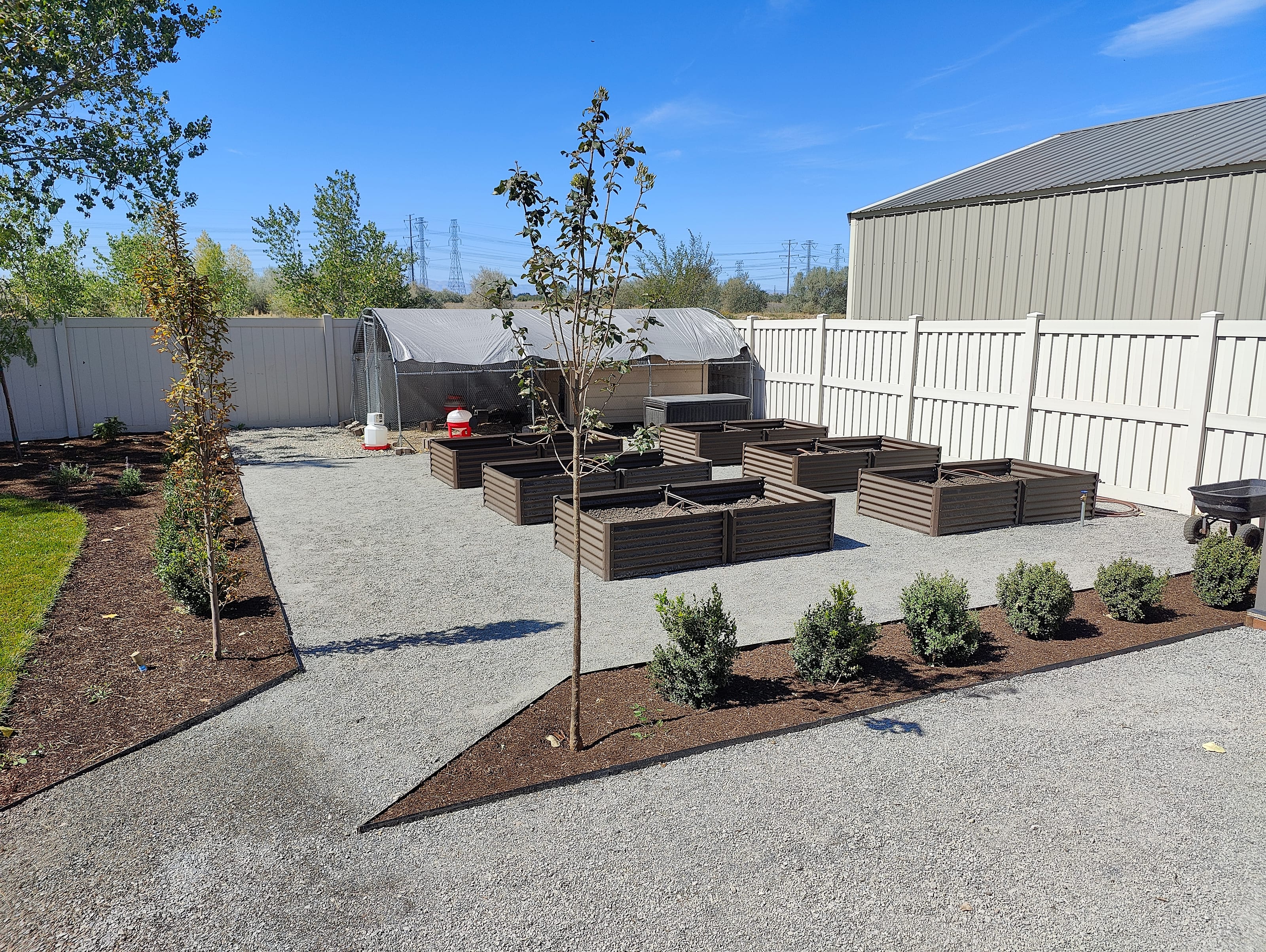 Grass removal replaced with gravel, garden boxes, mulch beds, trees, and low-water plants